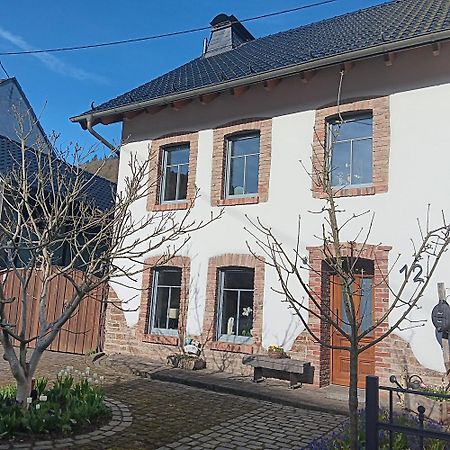Eifler Brunnenhaus Villa Dumpelfeld Eksteriør bilde