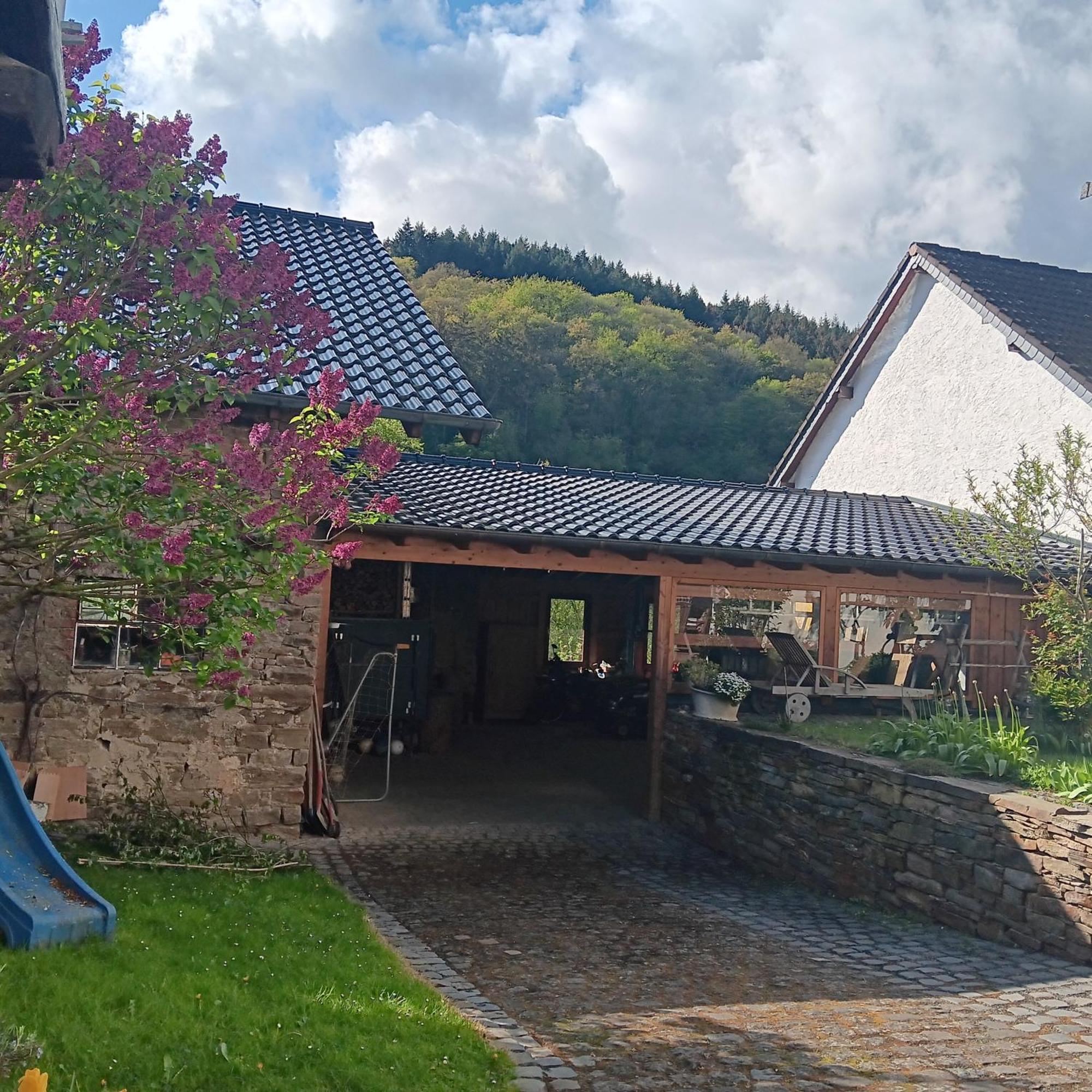 Eifler Brunnenhaus Villa Dumpelfeld Eksteriør bilde